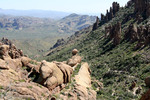 photo thumbnail #3