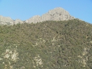 photo thumbnail #8