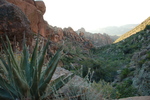 photo thumbnail #2