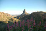 photo thumbnail #3
