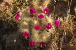 photo thumbnail #8