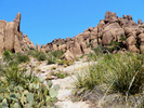 photo thumbnail #5