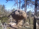photo thumbnail #1