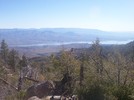 photo thumbnail #2