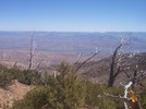 photo thumbnail #9