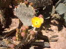 photo thumbnail #8