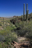 photo thumbnail #14
