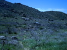 photo thumbnail #2