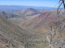 photo thumbnail #3