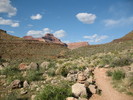 photo thumbnail #11
