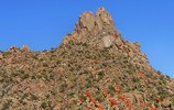 photo thumbnail #2