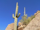 photo thumbnail #11