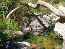 photo thumbnail #14