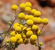 Featured Detail Photo