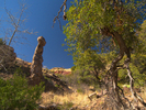 photo thumbnail #4