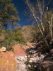 photo thumbnail #6