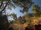 photo thumbnail #9