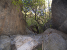 photo thumbnail #12