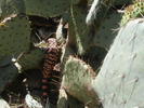 photo thumbnail #3