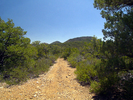 photo thumbnail #4