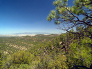 photo thumbnail #7