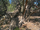 photo thumbnail #10