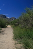 photo thumbnail #6