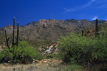 photo thumbnail #8