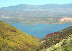 photo thumbnail #3