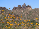 photo thumbnail #11