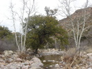 photo thumbnail #5