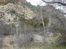 photo thumbnail #7