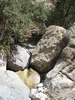 photo thumbnail #15