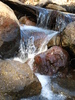 photo thumbnail #14
