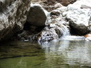 photo thumbnail #15