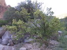 photo thumbnail #4