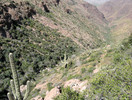 photo thumbnail #8