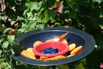 photo thumbnail #3