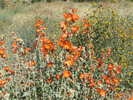 photo thumbnail #11
