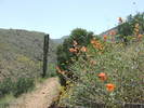 photo thumbnail #13