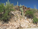 photo thumbnail #1