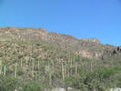 photo thumbnail #4