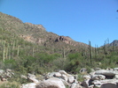 photo thumbnail #5