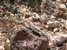 photo thumbnail #14