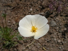 photo thumbnail #15