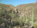 photo thumbnail #2