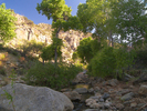 photo thumbnail #9
