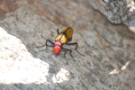 photo thumbnail #2