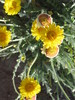 photo thumbnail #15