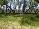 photo thumbnail #9